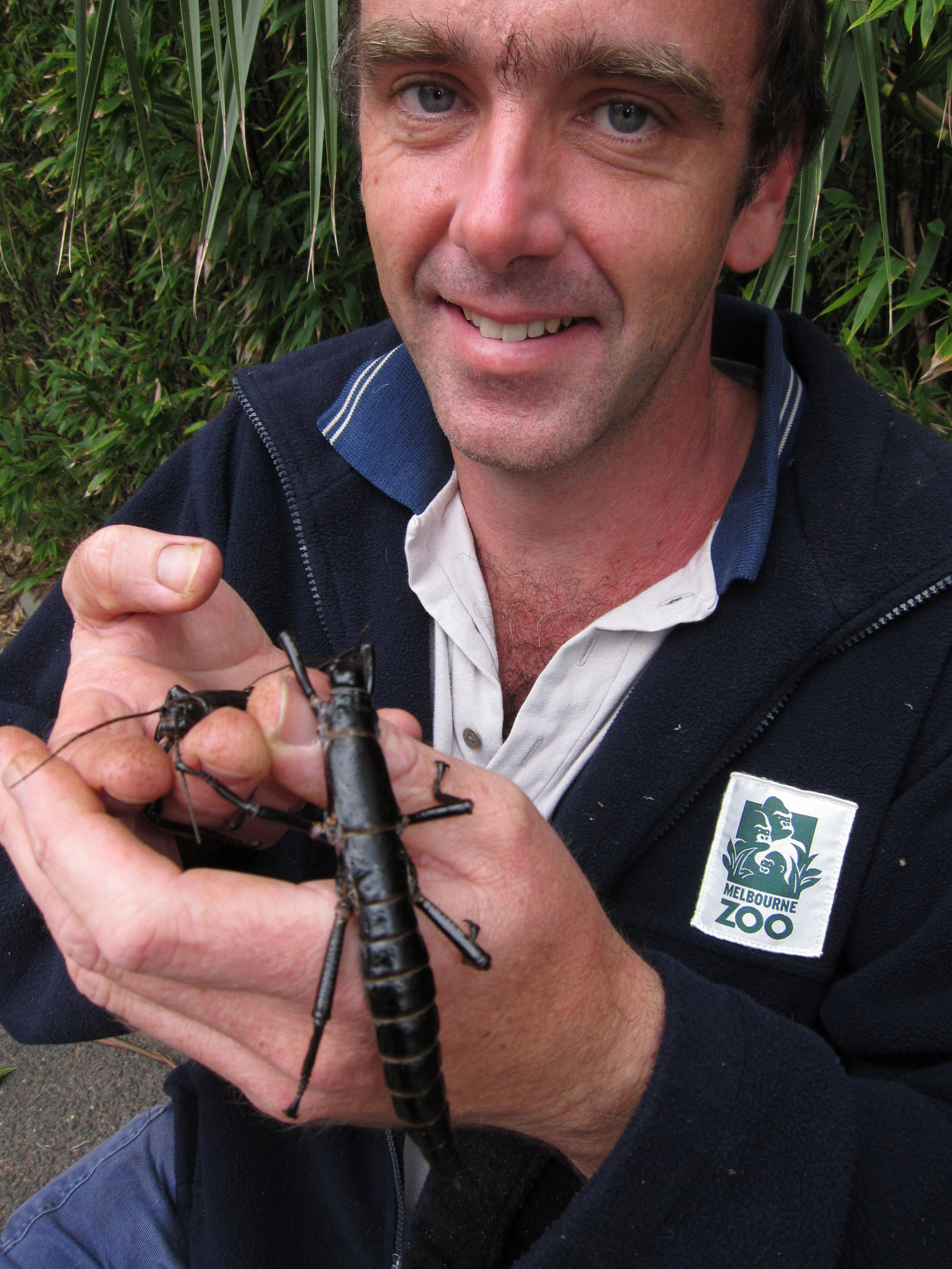 Chovatel bezobratlých Patrick Honan se svými vzácnými svěřenci. Foto: Rod Morris, Melbourne Zoo. Zdroj Return of the Phasmid, R. Wilkinson