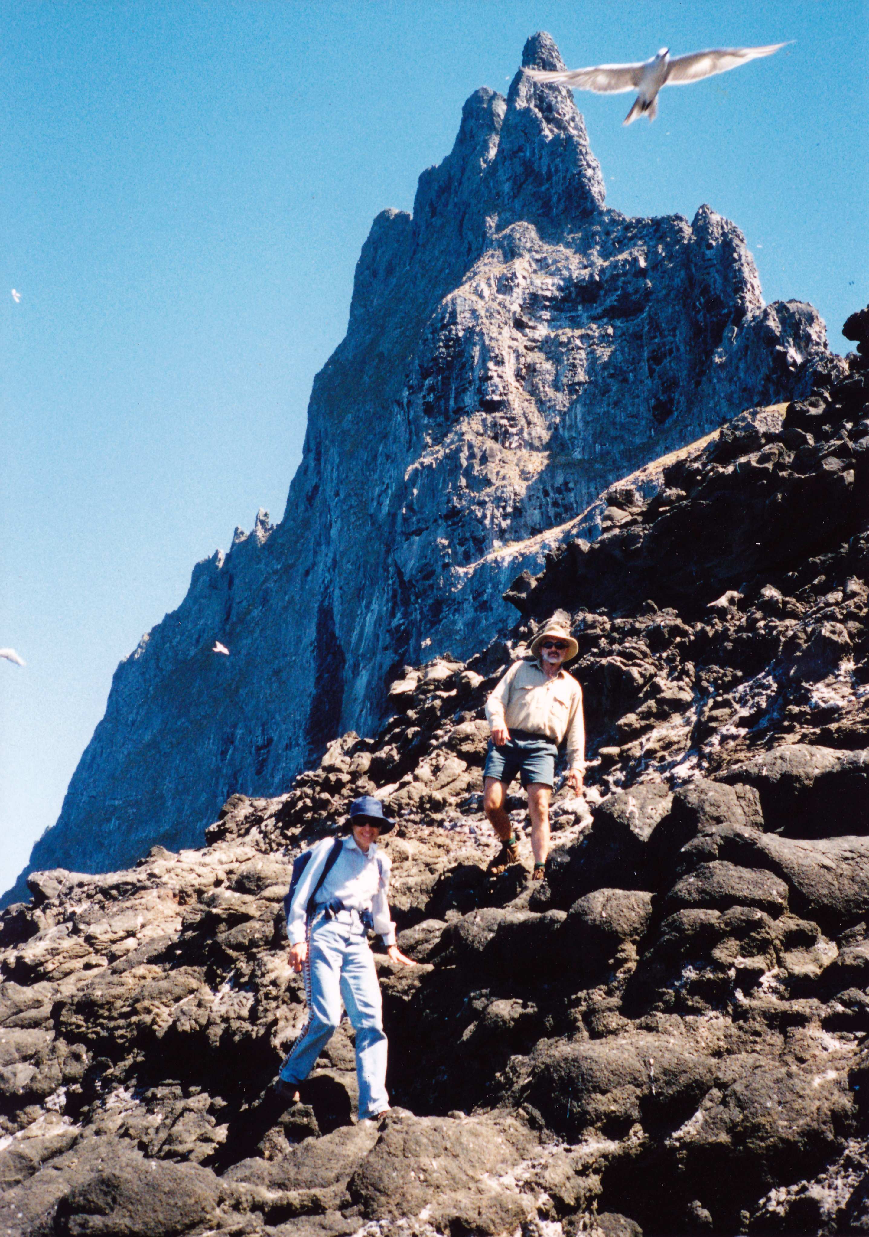 David Priddel a Margaret Humphrey sestupují z Pyramidy ráno po objevu prvních tří žijících strašilek humřích v únoru 2001. Foto: Nicholas Carlile. Zdroj: Return of the Phasmid, R. Wilkinson 