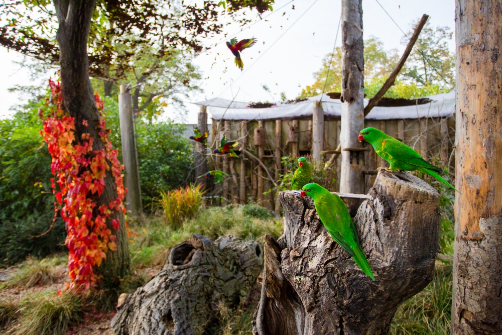 Foto: Petr Hamerník, Zoo Praha
