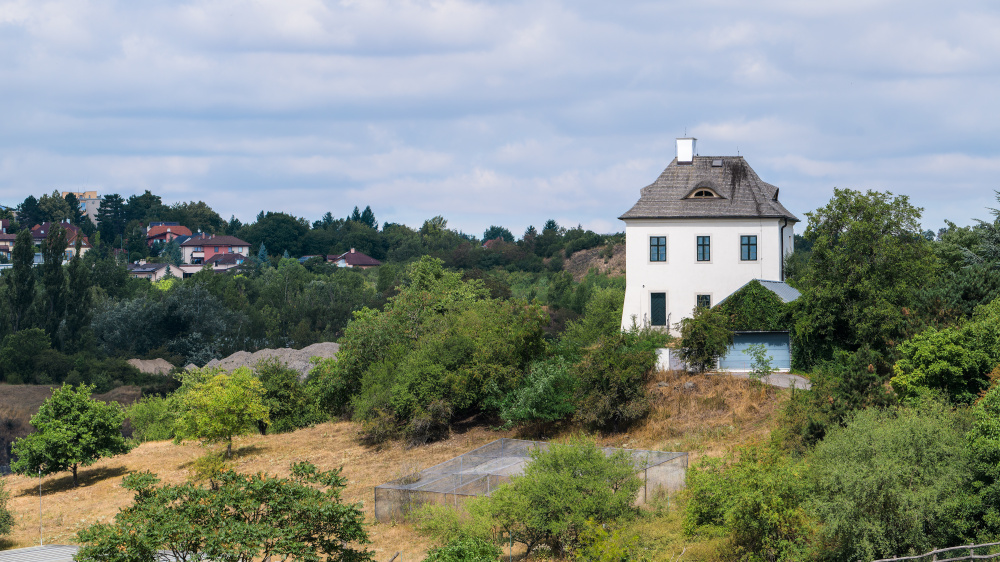 Photo: Petr Hamerník, Prague Zoo